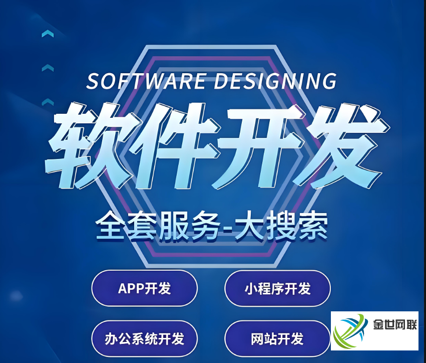 软件开发